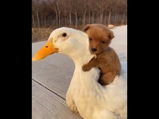 Porn and nature 20210122 202102 0 mp4