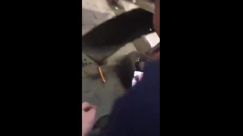 Спасение котенка