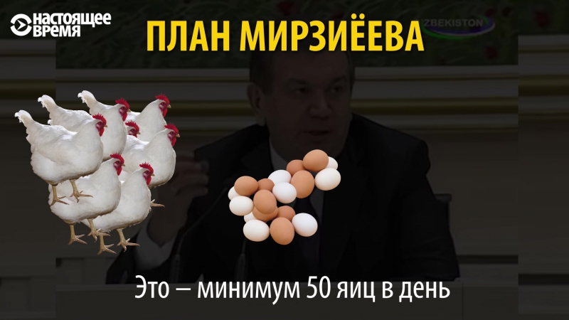 Бизнес план мирзиёева держать по 100 кур