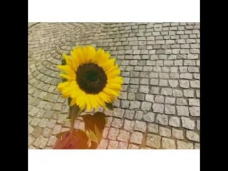 [ig] 170728 soyeon instagram