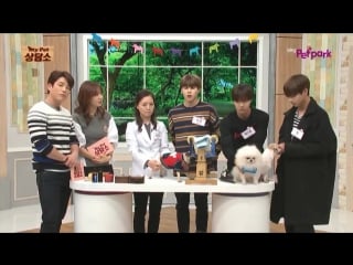 [show] 151111 j hope, jimin and v @ my pet clinic 3/3