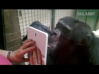 Ultimate fails compilation 2015 failarmy best fails of the year (part 1)