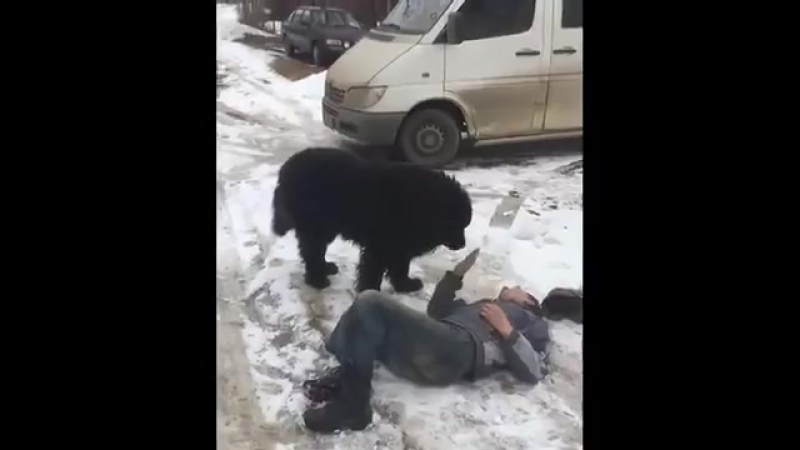 Холуй