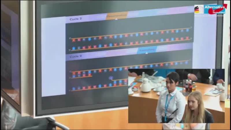 Sensation naomi seibt widerlegt den pcr test von prof drosten