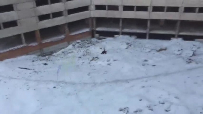 Она ударилась