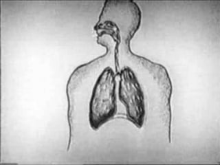 06 внешнее дыхание