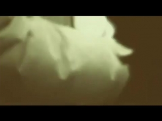 Port royal hermitage pt 3