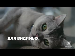 Видео от hill’s pet nutrition russia