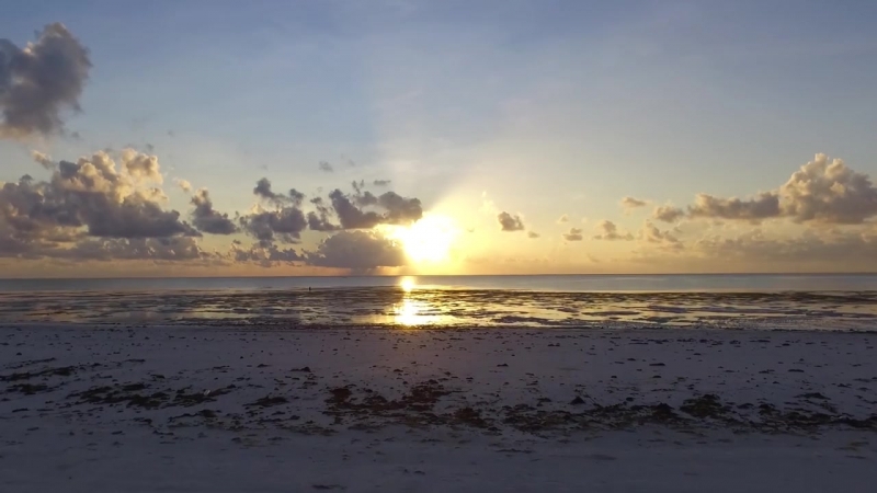 Tanzania dar es salaam zanzibar