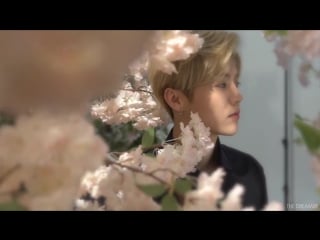 [video] 170523 luhan @ l’occitane en provence cherry blossom collection photoshoot