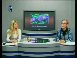 Цветы передача 5 популярные однолетники часть 2