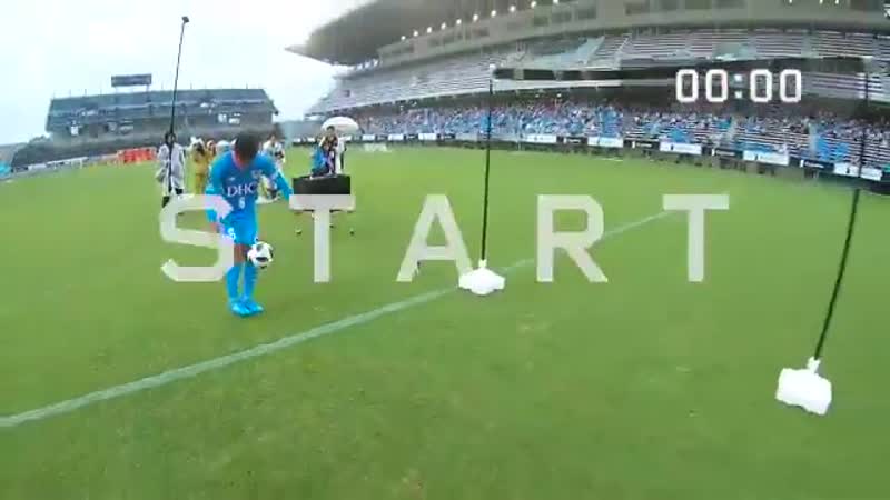 Fernando torres / sagan tosu