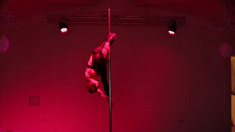 Sky pole отчетник 2018 мария наливайко