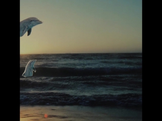 Watercolour capsule collection