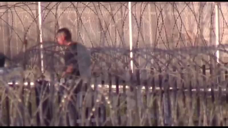 Кокорин и мамаев играют в колонии видео mash