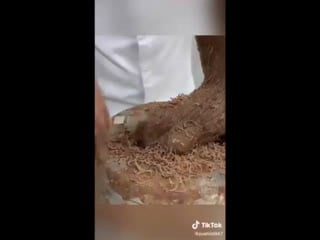 Скульптура из шоколада