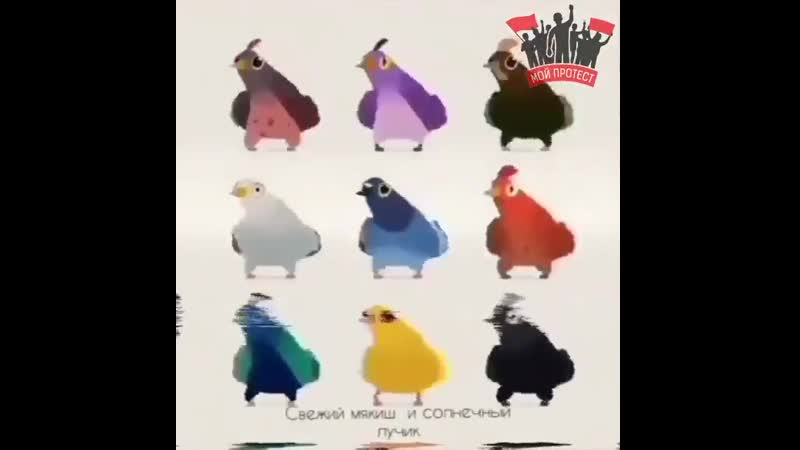 Покорми голубей 1 августа