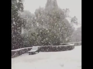 Heavy snow in thredbo, australia earlier this morning 18th august! thanks to @snowsearch aus for the report severeweather extrem