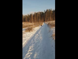 Джессика старк и румми (чейни чайм и лекса)