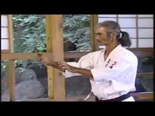 Uechi ryu techniques