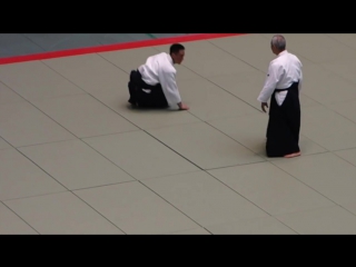 Endo shihan embu, 53rd all japan aikido embukai 2015