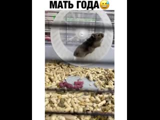 У нее тренироа по расписанию