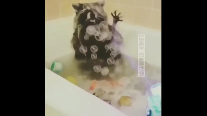 Енотик тоже любит мыльные пузырики))