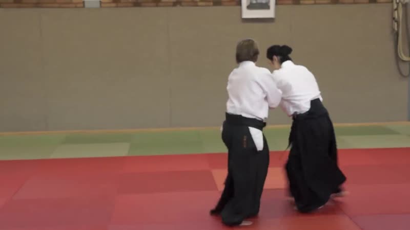 Aikido okamoto yoko sensei seminar in offenbach 2014