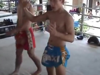 Disc 2 the intensive muay thai clinch xvid upinsmoke