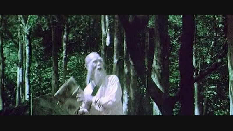 Kung porn video – 1979 кунг фу чой ли фут / choi lee fat kung fu
