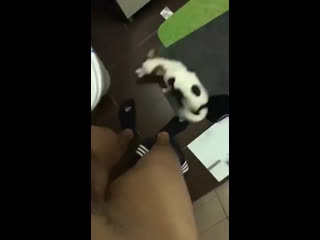 Нехуй было выебываться )))