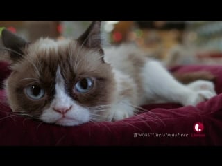 Grumpy cat's worst christmas ever (2014) eng