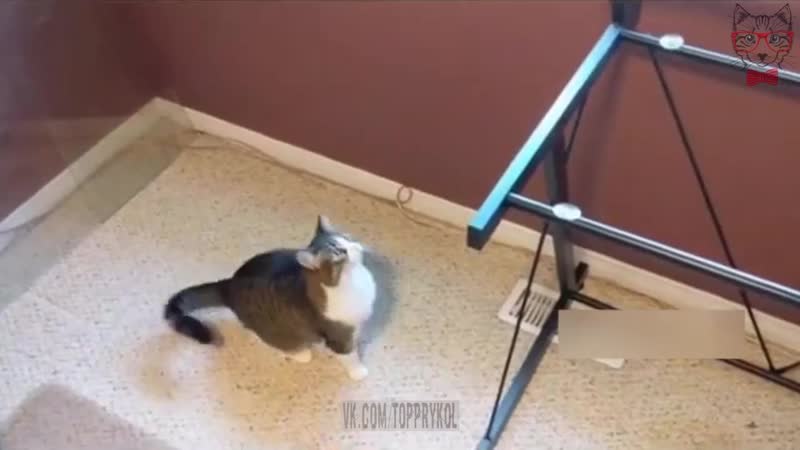 Снял стеклянную столешницу