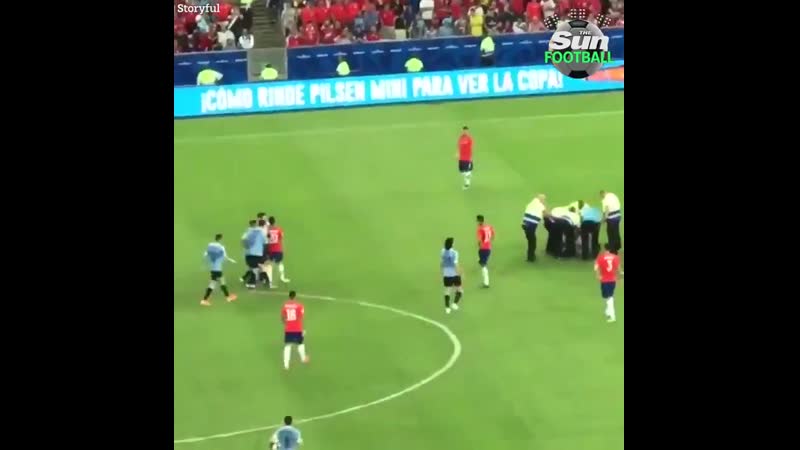 Yep, luis suarez really did demand a yellow card for his opponent after tripping a pitch invader!