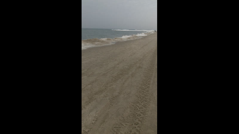 Live го гулять,кёниг! #ггк39