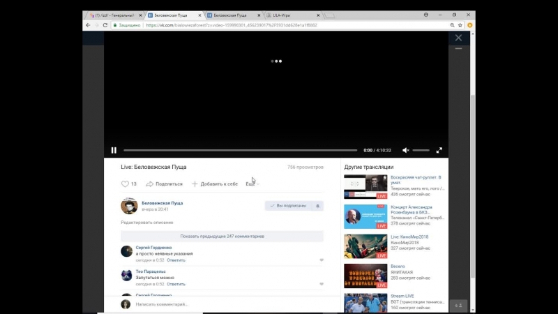 Live беловежская пуща