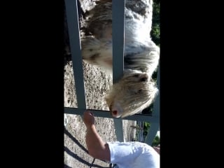 Vid 20160703 121605