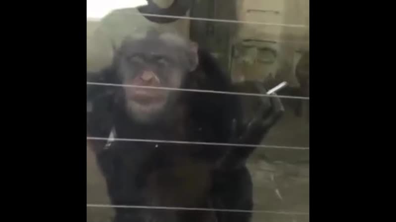 Когда админ дал шмальнуть новую жижу