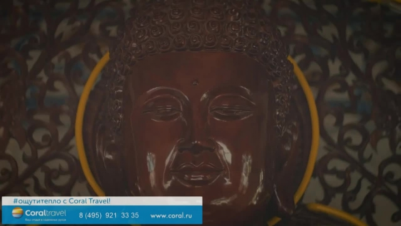 Bзвестный юрист эльман пашаев ответит на ваши вопросы каждую среду вечером!