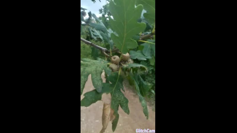 Маршрут баштаноа, алимова балка, танковое