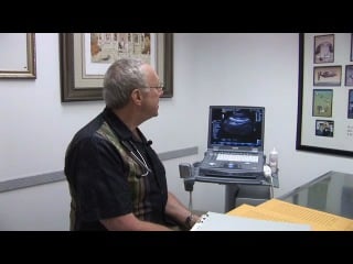 Veterinary ultrasound case studies