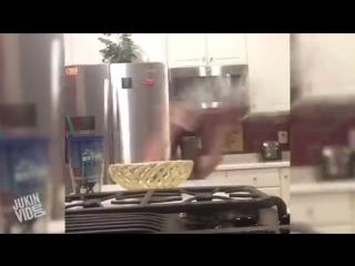 Best videos compilation week 1 april 2016 jukinvideo