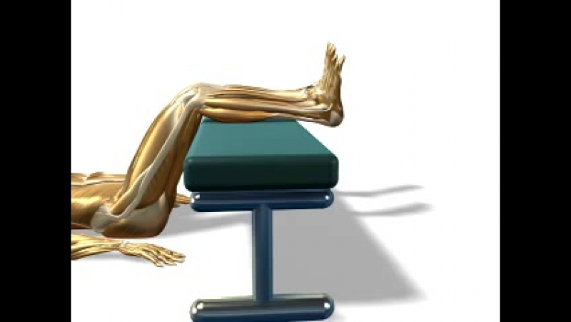 Sls тянем стопы сгибание разгибание на опоре