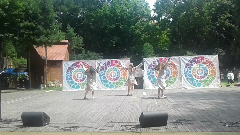 "сіла птаха"