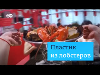 Как объедки морепродуктов превращаются в пластик