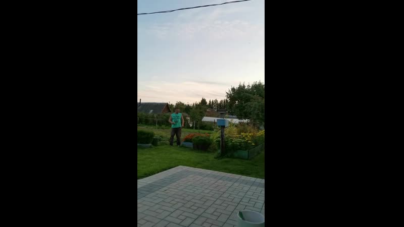 Додо (сестры добби)