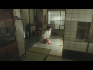 A watcher in the attic (屋根裏の散歩者 | yaneura no sanposha), akio jissoji, 1994