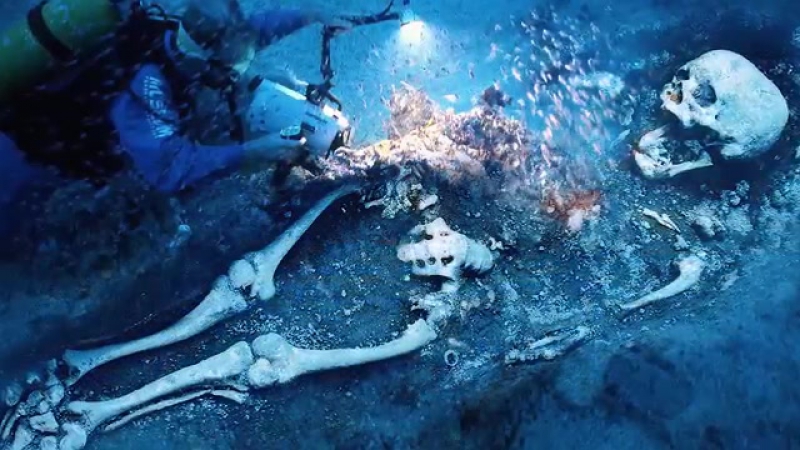 Удивительные факты существования гигантов