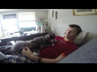 Cat wont let me play video games alone