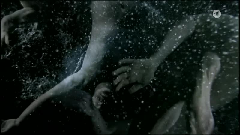 Frank giering and alexander beyer hierankl